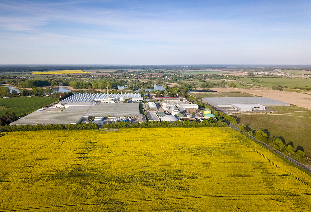 historie_bild_4_heute Luftaufnahme einer Industrieanlage mit Gewächshäusern, Biogasanlage und gelbem Rapsfeld im Vordergrund, Dorf und Felder im Hintergrund.