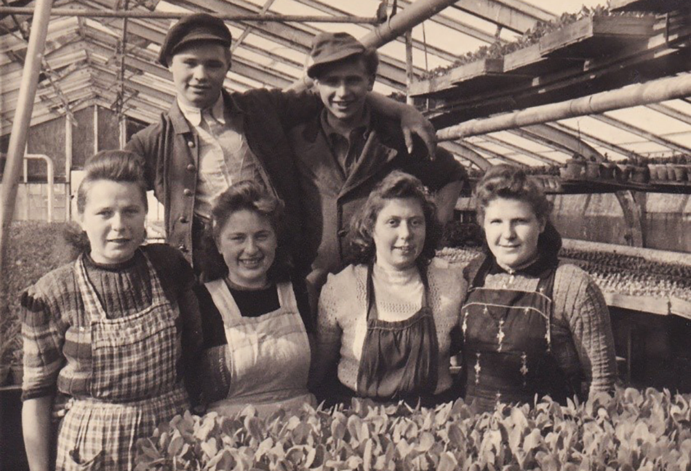 historie_gärtnerbrigade_1970 Sechs Personen in Arbeitskleidung stehen und sitzen in einem Gewächshaus vor einer Pflanzentischreihe mit Setzlingen.