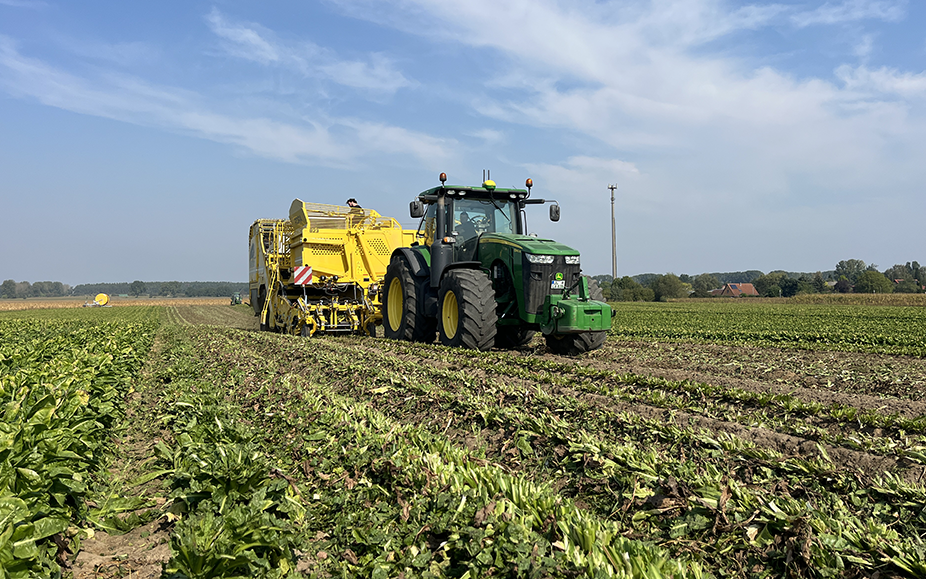 Grüner Traktor mit gelbem Anbaugerät fährt über ein Feld mit abgeernteten Pflanzenreihen unter blauem Himmel.