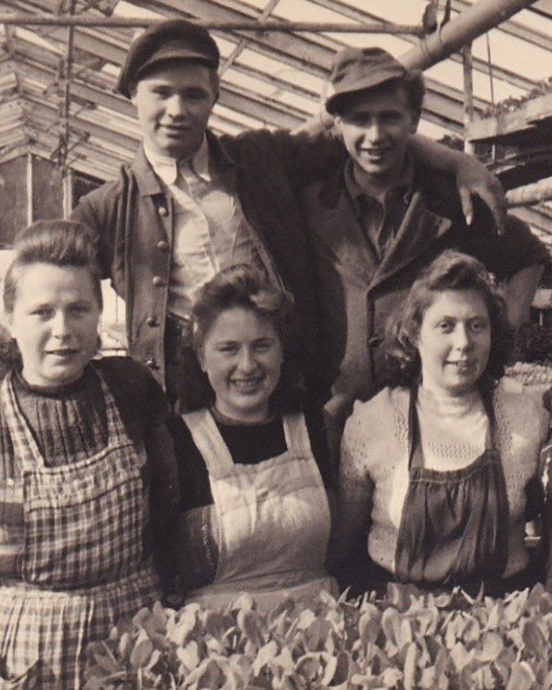 Fünf Personen in Arbeitskleidung stehen in einem Gewächshaus hinter einer Pflanzreihe, zwei Männer mit Armen um Schultern von drei Frauen.