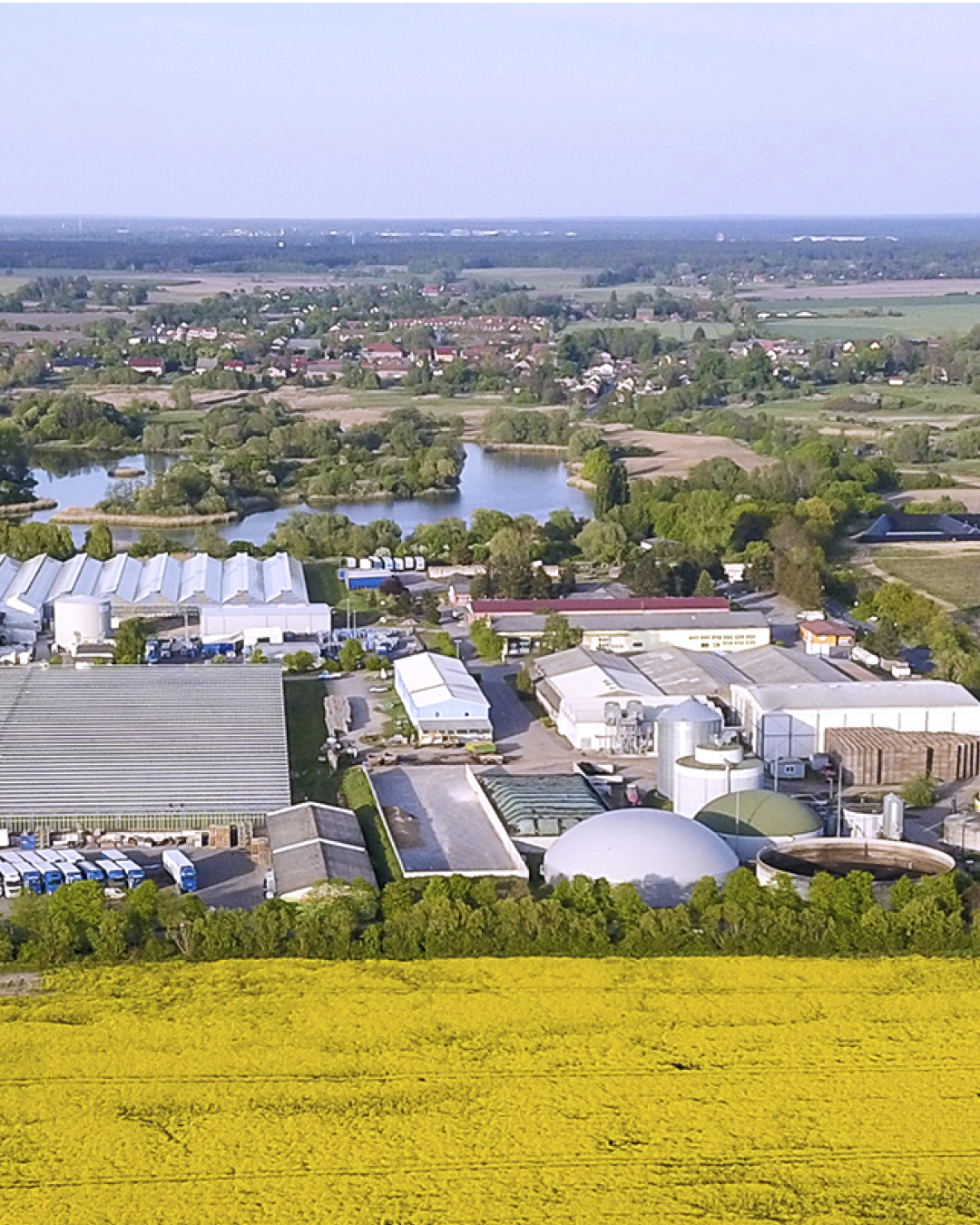 Luftaufnahme einer Industrieanlage mit Gewächshäusern, Biogasanlage und gelbem Rapsfeld im Vordergrund, Dorf und Felder im Hintergrund.